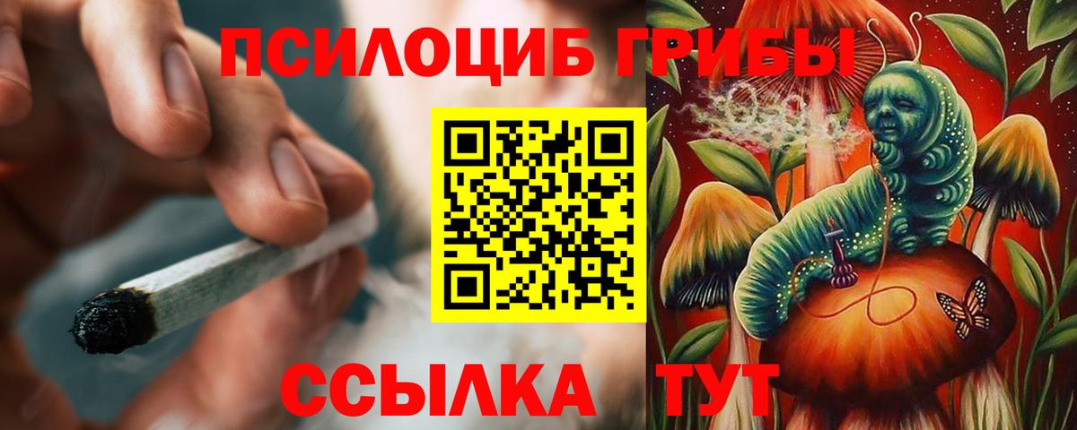 Галлюциногенные грибы прущие грибы  Вход с VPN  Галлюциногенные грибы GOLDEN TEACHER  Чистополь 