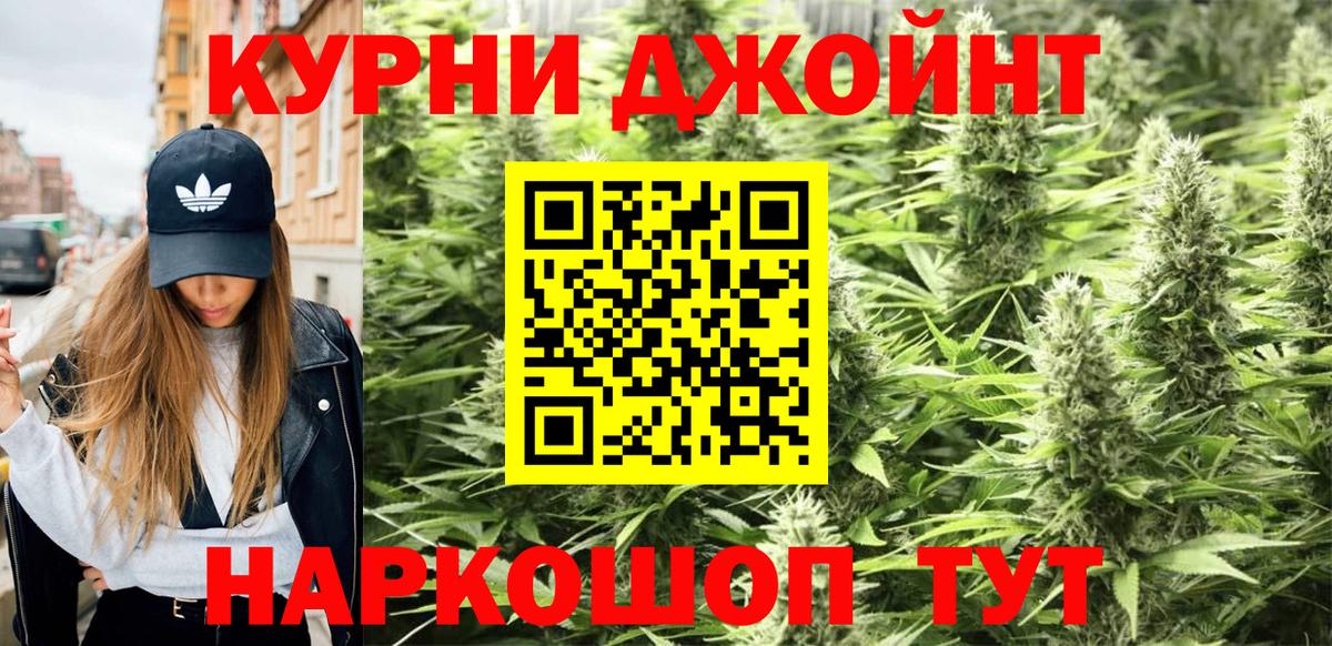 Каннабис сатива Чистополь